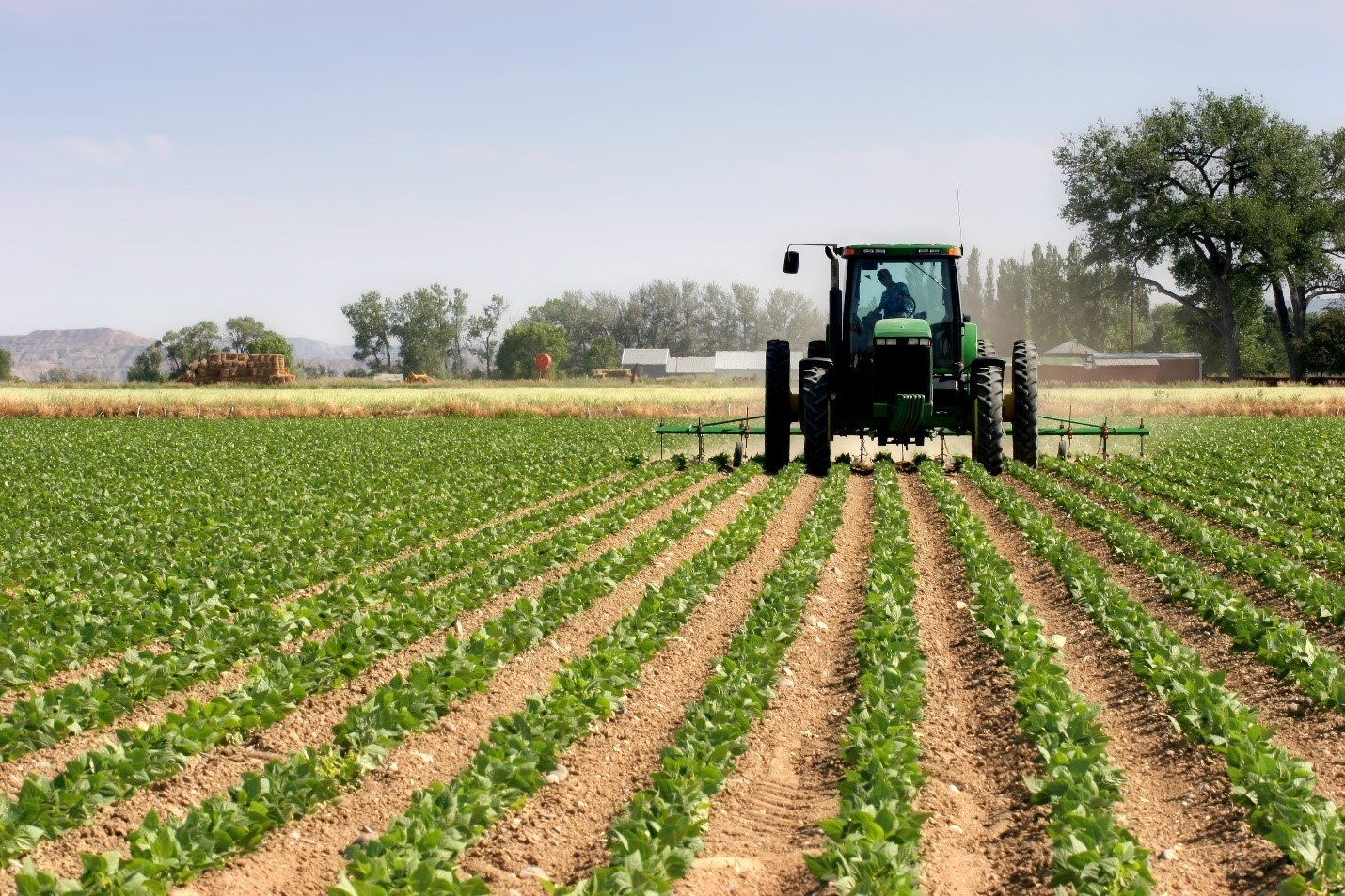 Home photo agric